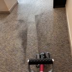 MotorScrubber SHOCK cleaning carpet